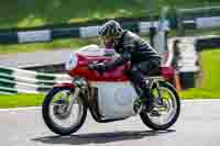 Vintage-motorcycle-club;eventdigitalimages;mallory-park;mallory-park-trackday-photographs;no-limits-trackdays;peter-wileman-photography;trackday-digital-images;trackday-photos;vmcc-festival-1000-bikes-photographs